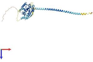 AlphaFold protein structure predicition of Human Recombinant SEPTIN14 Protein, UniprotID Q6ZU15