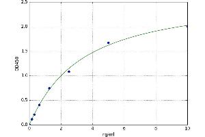 A typical standard curve