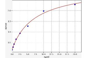 Typical standard curve (CD2 Kit ELISA)