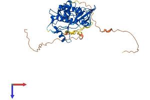 AlphaFold protein structure predicition of Human Recombinant TRIB3 Protein, UniprotID Q96RU7