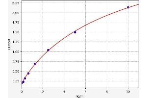 Vascular Cell Adhesion Molecule 1 (VCAM1) ELISA Kit