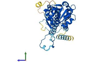 AlphaFold protein structure predicition of Mouse Recombinant Eif2b2 Protein, UniprotID Q99LD9