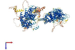 AlphaFold protein structure predicition of Mouse Recombinant Dennd5a Protein, UniprotID Q6PAL8