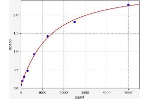 Cathepsin K (CTSK) ELISA Kit