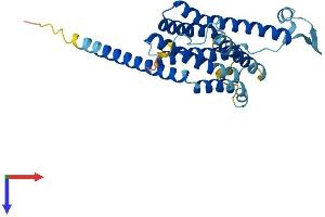 AlphaFold protein structure predicition of Mouse Recombinant Fitm1 Protein, UniprotID Q91V79