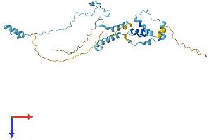 AlphaFold protein structure predicition of Human Recombinant IFT46 Protein, UniprotID Q9NQC8