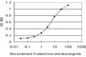 Detection limit for recombinant GST tagged CDK4 is approximately 0. (CDK4 anticorps  (AA 211-303))