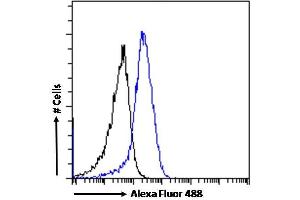 (ABIN334388) Flow cytometric analysis of paraformaldehyde fixed U251 cells (blue line), permeabilized with 0.