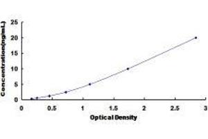 ELISA image for Solute Carrier Family 11 (Proton-Coupled Divalent Metal Ion Transporters), Member 2 (SLC11A2) ELISA Kit (ABIN434443)