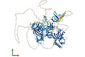 AlphaFold protein structure predicition of Mouse Recombinant Tdrd1 Protein, UniprotID Q99MV1