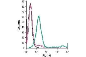 Cell surface detection of P2RX1 in live intact mouse M1 myeloid leukemia cells: (black line) Cells.