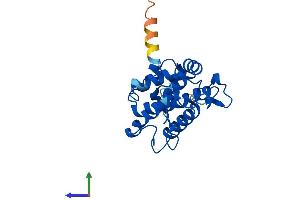 AlphaFold protein structure predicition of Mouse Recombinant Mob4 Protein, UniprotID Q6PEB6