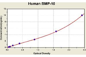 Diagramm of the ELISA kit to detect Human BMP-10with the optical density on the x-axis and the concentration on the y-axis.