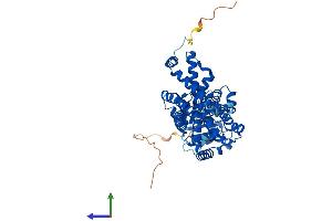 AlphaFold protein structure predicition of Mouse Recombinant Steap3 Protein, UniprotID Q8CI59
