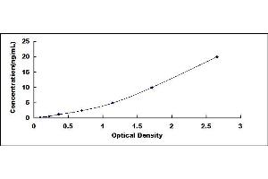 Typical standard curve (NAAA Kit ELISA)