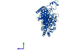 AlphaFold protein structure predicition of Human Recombinant HACL1 Protein, UniprotID Q9UJ83