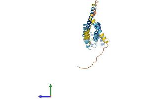 AlphaFold protein structure predicition of Mouse Recombinant Gjb1 Protein, UniprotID P28230