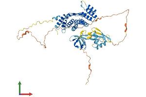 AlphaFold protein structure predicition of Human Recombinant NOXA1 Protein, UniprotID Q86UR1