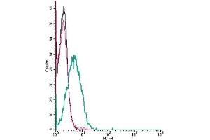 Cell surface detection of SLC41A2 by indirect flow cytometry in live intact human Jurkat T-cell leukemia cells:  (black line) Cells.