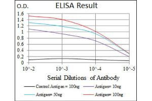 Red: Control Antigen (100ng) ; Purple: Antigen (10ng) ; Green: Antigen (50ng) ; Blue: Antigen (100ng). (NAPSA anticorps  (AA 20-158))