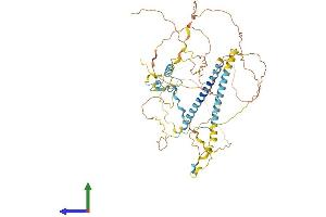 AlphaFold protein structure predicition of Mouse Recombinant Fip1l1 Protein, UniprotID Q9D824
