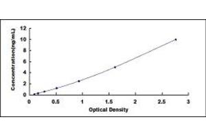 Typical standard curve (RAMP2 Kit ELISA)