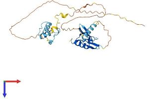 AlphaFold protein structure predicition of Mouse Recombinant Dppa4 Protein, UniprotID Q8CCG4