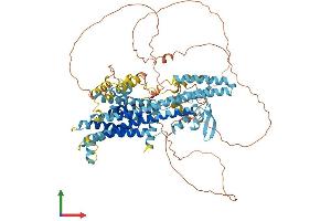 AlphaFold protein structure predicition of Mouse Recombinant Phtf2 Protein, UniprotID Q8CB19
