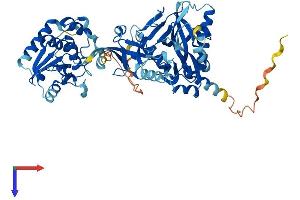 AlphaFold protein structure predicition of Human Recombinant RNGTT Protein, UniprotID O60942