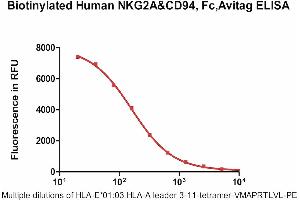 NKG2A & CD94 (AA 113-233), (AA 57-179) (Active) protein (Fc Tag,AVI tag,Biotin)