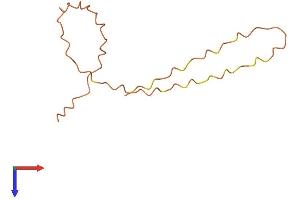 AlphaFold protein structure predicition of Human Recombinant KRTAP12-1 Protein, UniprotID P59990