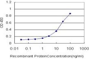 Detection limit for recombinant GST tagged HEYL is approximately 0. (HEYL anticorps  (AA 221-327))
