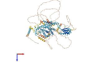 AlphaFold protein structure predicition of Mouse Recombinant Snx19 Protein, UniprotID Q6P4T1