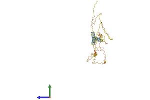 AlphaFold protein structure predicition of Mouse Recombinant Mdfic Protein, UniprotID Q8BX65