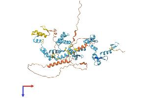 AlphaFold protein structure predicition of Human Recombinant ZNF578 Protein, UniprotID Q96N58