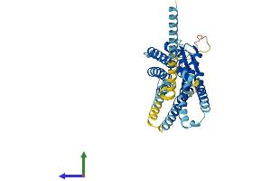AlphaFold protein structure predicition of Mouse Recombinant Ackr3 Protein, UniprotID P56485