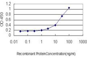 Detection limit for recombinant GST tagged SGK is approximately 1ng/ml as a capture antibody. (SGK1 anticorps  (AA 1-431))