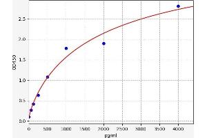 Procollagen, Type I ELISA Kit