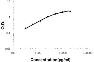 Sandwich ELISA - Recombinant mouse MBL2 protein standard curve.