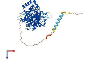 AlphaFold protein structure predicition of Human Recombinant B3GNT6 Protein, UniprotID Q6ZMB0
