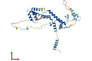 AlphaFold protein structure predicition of Human Recombinant TADA1 Protein, UniprotID Q96BN2