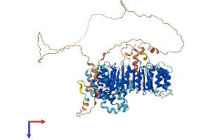 AlphaFold protein structure predicition of Mouse Recombinant Lrrc41 Protein, UniprotID Q8K1C9