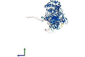 AlphaFold protein structure predicition of Mouse Recombinant Cmtr1 Protein, UniprotID Q9DBC3