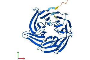 AlphaFold protein structure predicition of Human Recombinant NUP37 Protein, UniprotID Q8NFH4