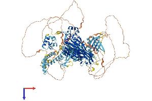 AlphaFold protein structure predicition of Human Recombinant INPPL1 Protein, UniprotID O15357