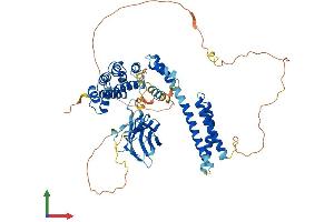 AlphaFold protein structure predicition of Mouse Recombinant Gga1 Protein, UniprotID Q8R0H9