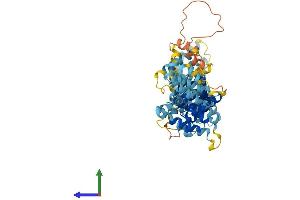 AlphaFold protein structure predicition of Mouse Recombinant Fancc Protein, UniprotID P50652