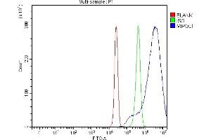 Flow Cytometry analysis of HepG2 cells using anti-MIPOL1 antibody (ABIN7602207).