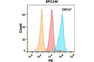 EPCAM protein is highly expressed on the surface of Expi293 cell membrane. (EpCAM anticorps  (AA 24-314))