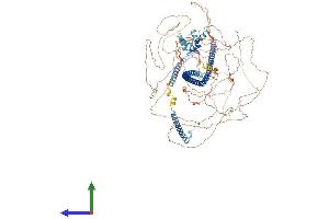 AlphaFold protein structure predicition of Mouse Recombinant Rab11fip3 Protein, UniprotID Q8CHD8